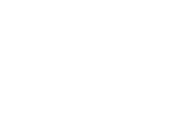 bachoco-ico