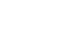 mccain-ico